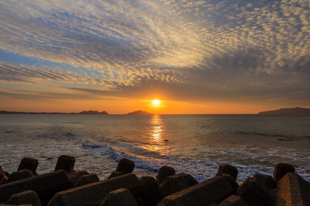 夕陽121