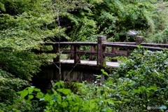緑に囲まれた古い橋
