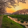 夕景6