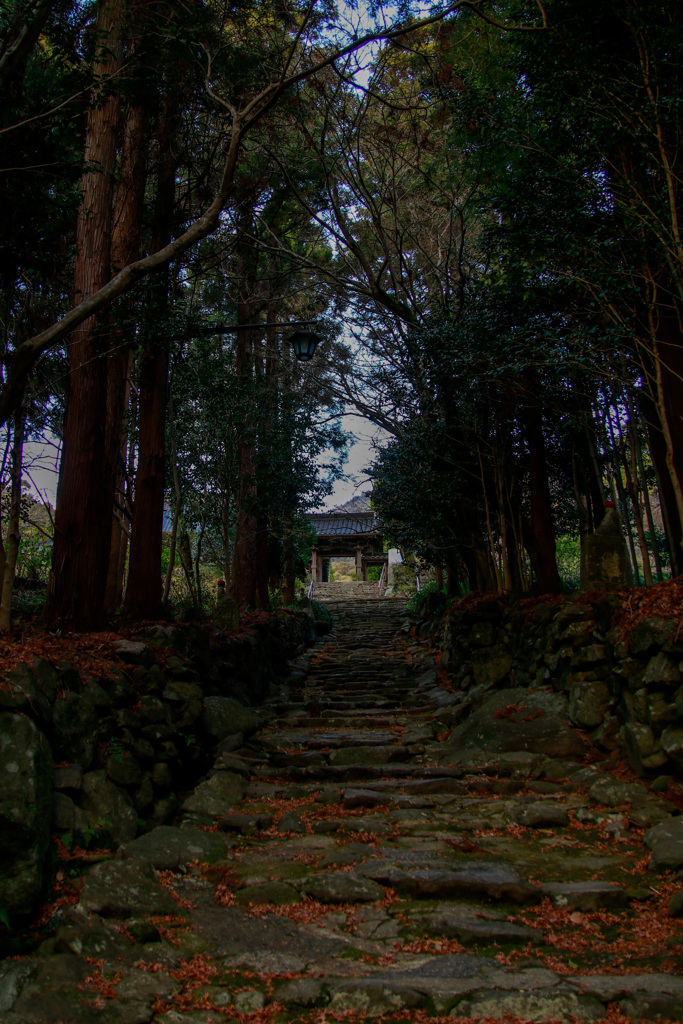 東大寺別院　周防阿弥陀寺⑧