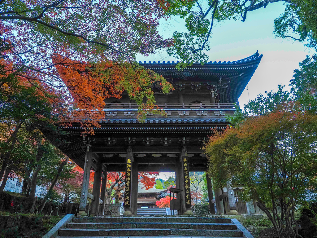 紅葉