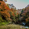 秋色②-2