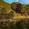 瑠璃光寺 五重塔