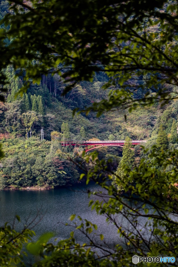 橋③