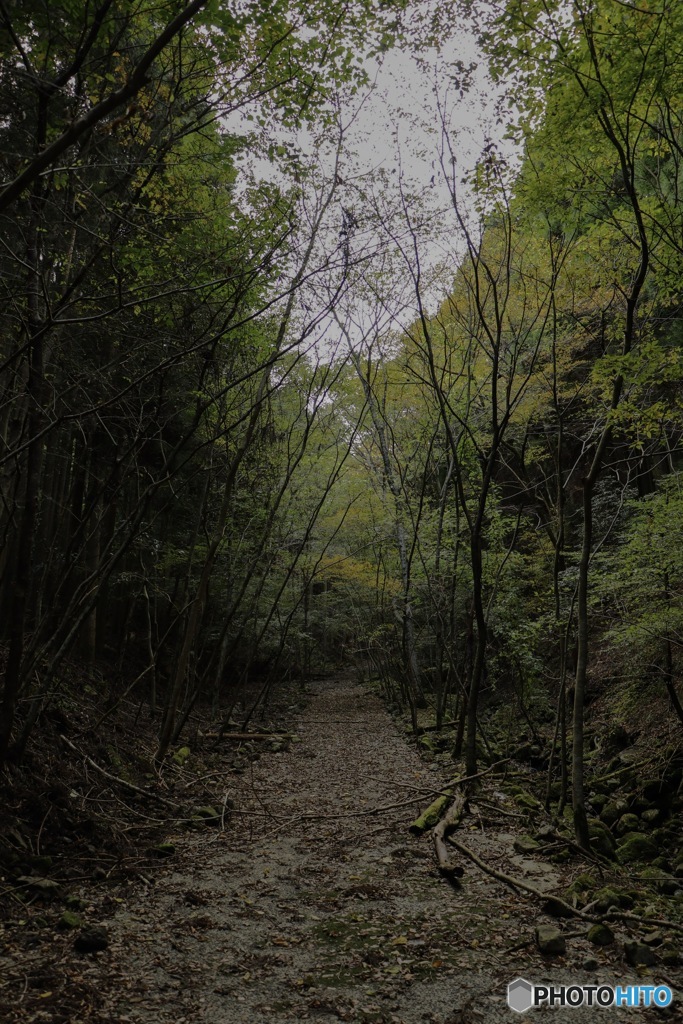 枯