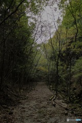 枯