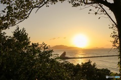 夕日が見えた！