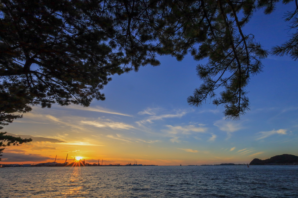 夕日