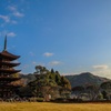 瑠璃光寺 五重塔⑤