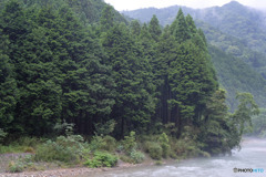 梅雨