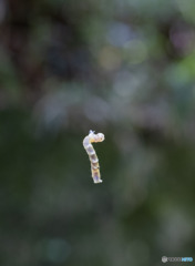 UP!