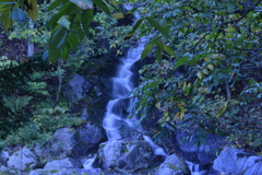 DSC_1880