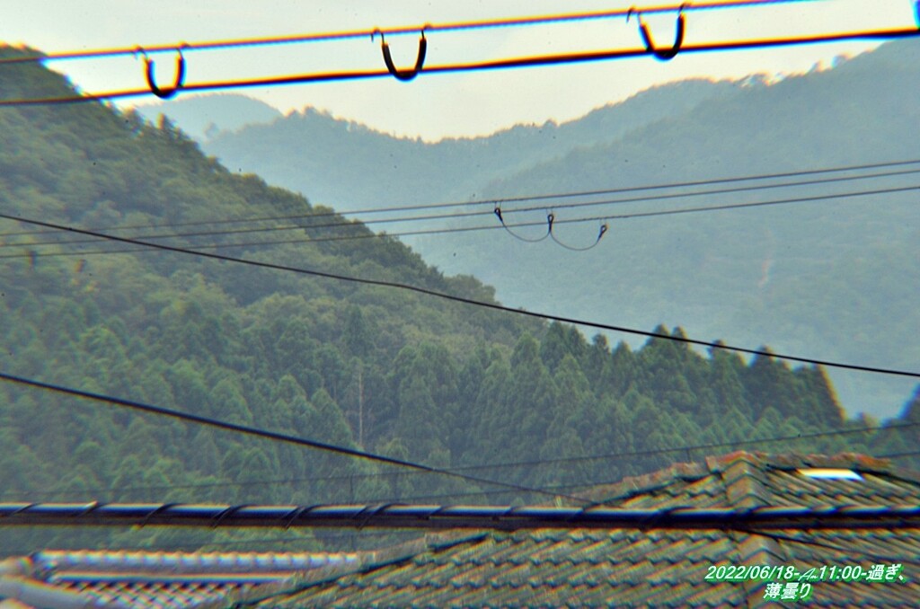 DSC_6339
