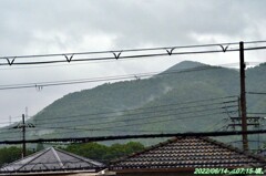 そぼ降る雨の朝（D5100望遠＋）_20220614-Am0715- (1)