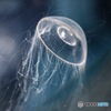 海の幽霊
