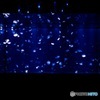 Star dusts