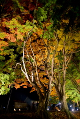 河口湖紅葉祭り