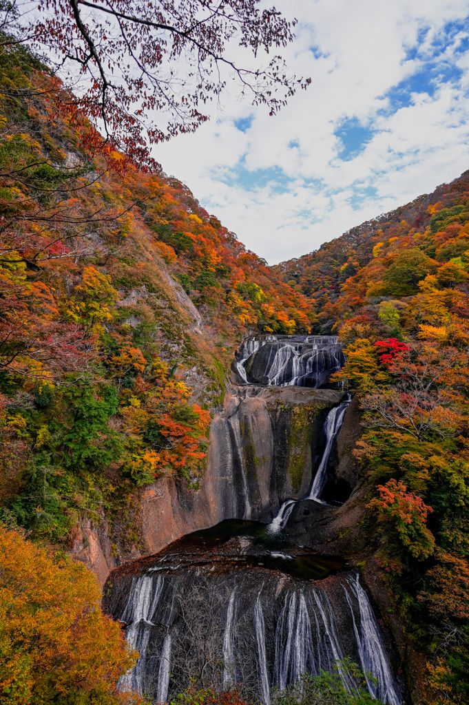 Fall of Fall