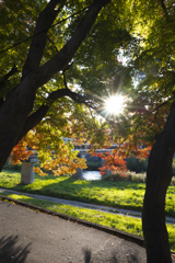 中津川、毘沙門橋、岩手公園