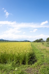 岩手県紫波郡矢巾町