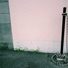 見る