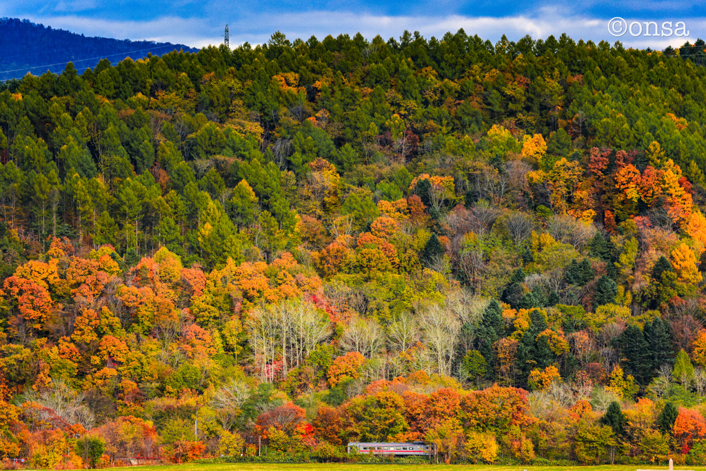 秋に身をうずめて