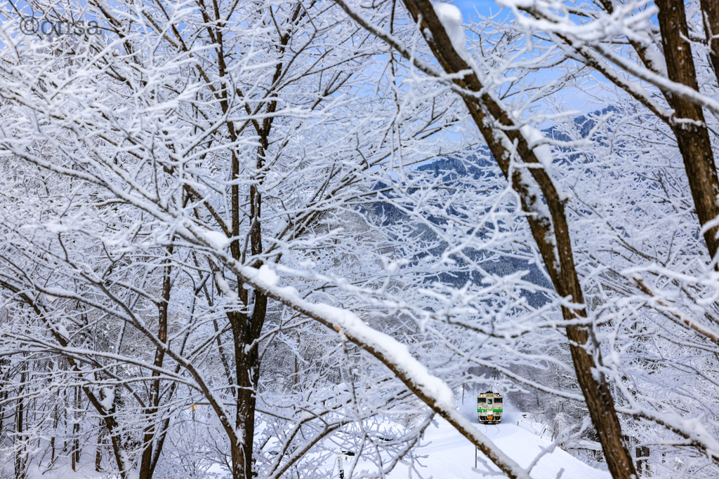雪木立垣間見る鉄路