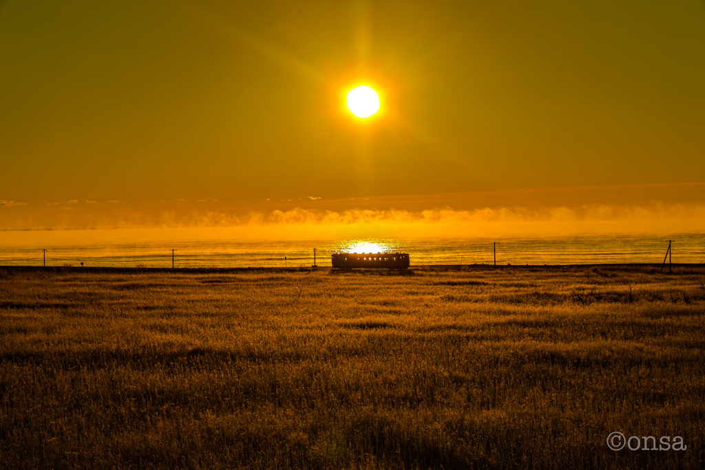 金色の野に昇る朝陽