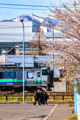 春の横顔