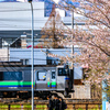 春の横顔
