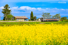 菜花彩る小駅「北一已駅」