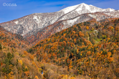 秋と冬 紅葉に初冠雪 秋と冬 紅葉に初冠雪
