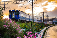 雨光る 花歌う 汽車走る