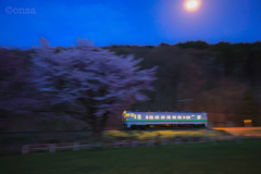 月光の桜、唸るエンジン