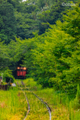 森のトンネルをぬけると小さな駅へ