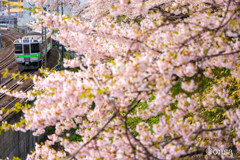 そっと通り過ぎる