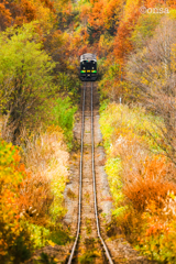 錦秋のジェットコースター