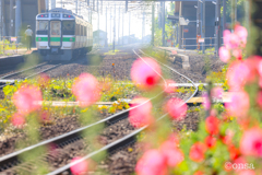 花ある駅の出発進行