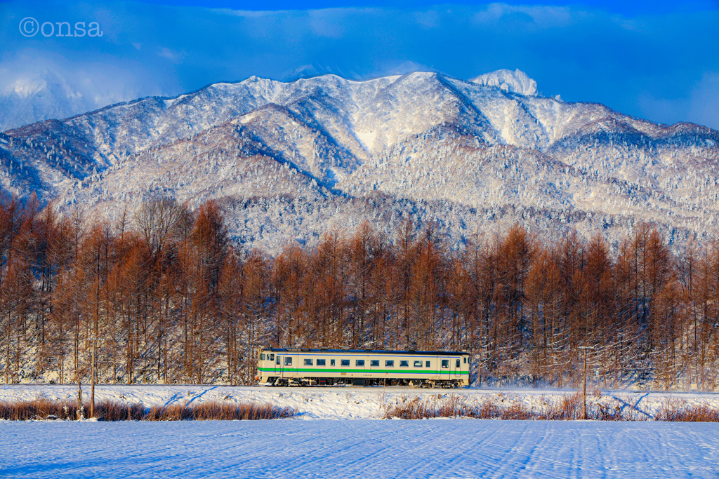冬の北海道100%！