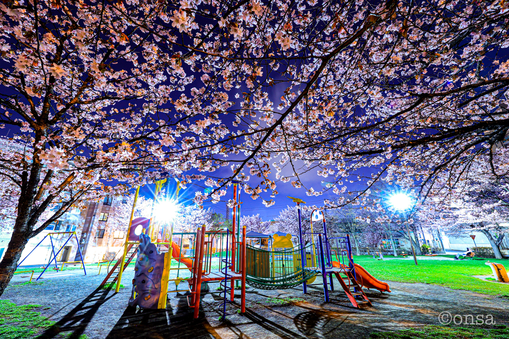 さくらさく夜の公園