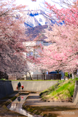 手をつないで