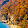 色づきの海岸線