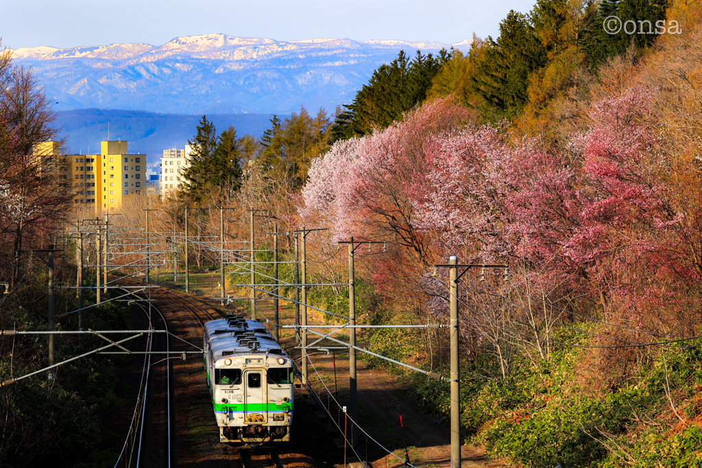 さぁ、いよいよわれわれチーム北海道の出番ですよ✨