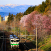 さぁ、いよいよわれわれチーム北海道の出番ですよ✨
