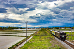 田んぼに水が張られ、雲は低く垂れ込み、急行列車は北を目指して駆け抜ける