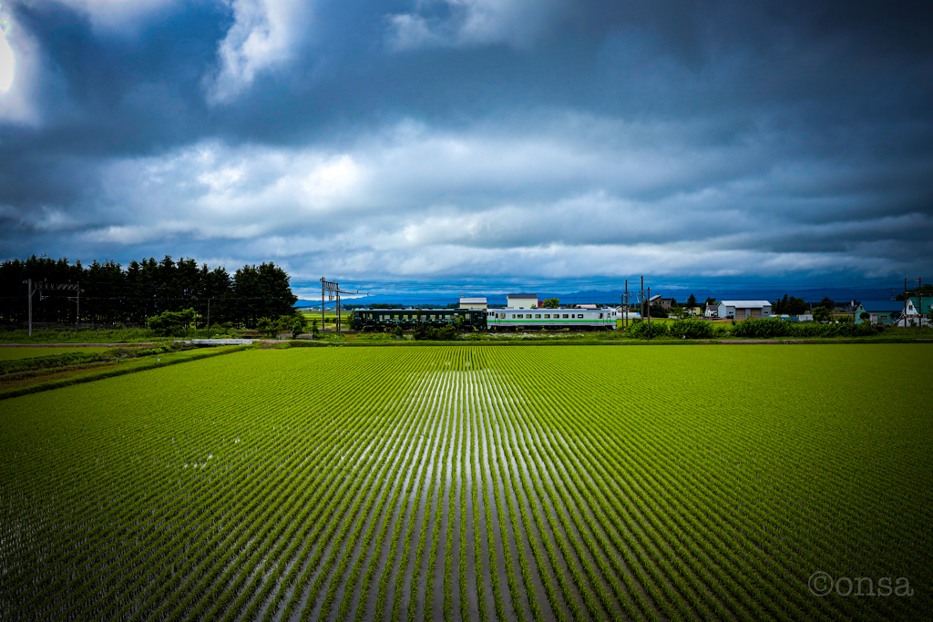 こりゃあ、ひと雨来そうだなぁ