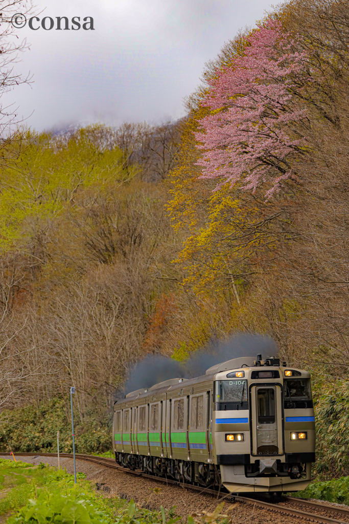 春と鉄道 〜山桜の下を黒煙上げて〜