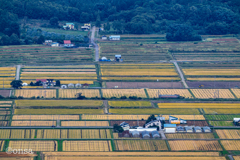 豊穣の刈跡
