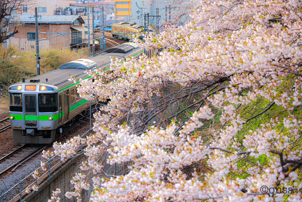 小樽と桜〜さくらトレイン2022