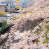 小樽と桜〜さくらトレイン2022